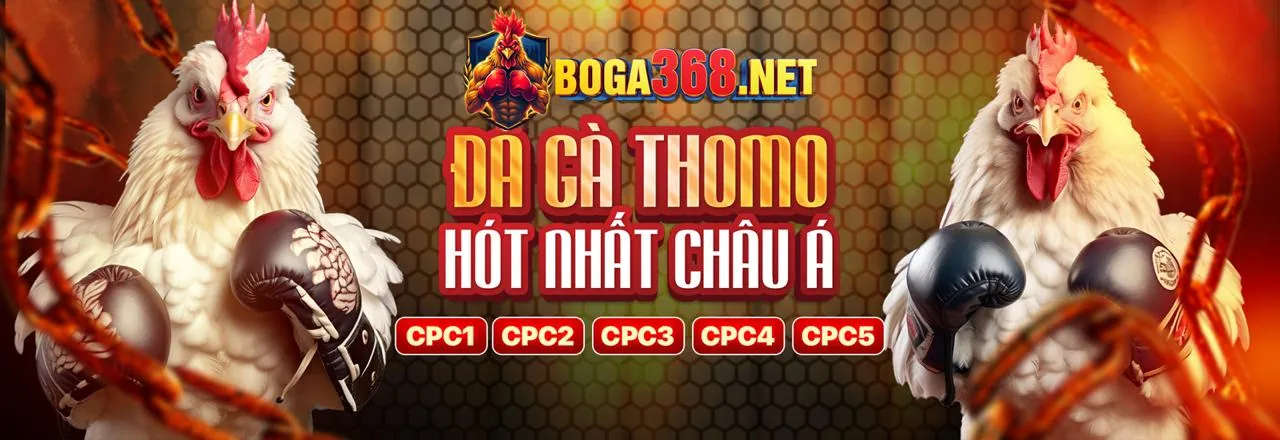Đá gà trực tuyến kịch tính tại G666 Login