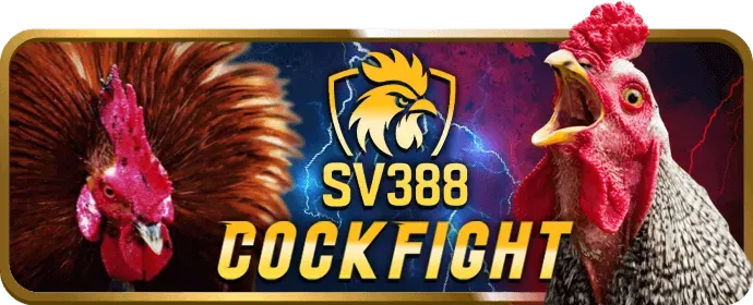 Chất lượng live stream HD